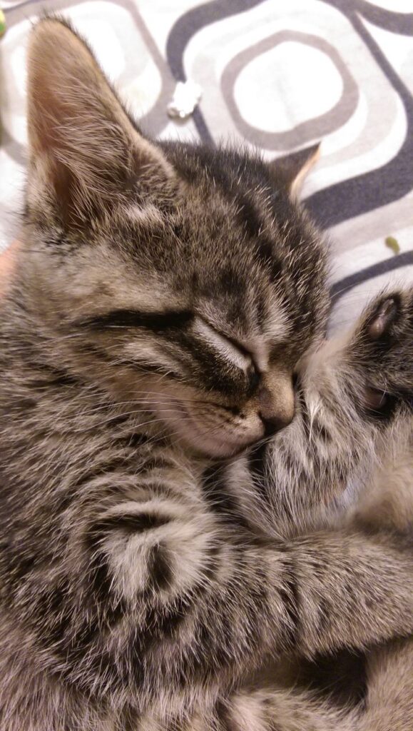 Sleepy head. ^_^